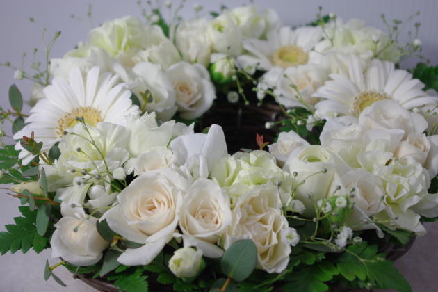 剣 塩辛い シェフ チャコ 青葉台 花屋 Columbia Readymade Com